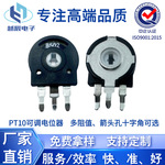 PT10西班牙可调B10K电位器箭头孔耐高温微调电阻器立式带开关音响