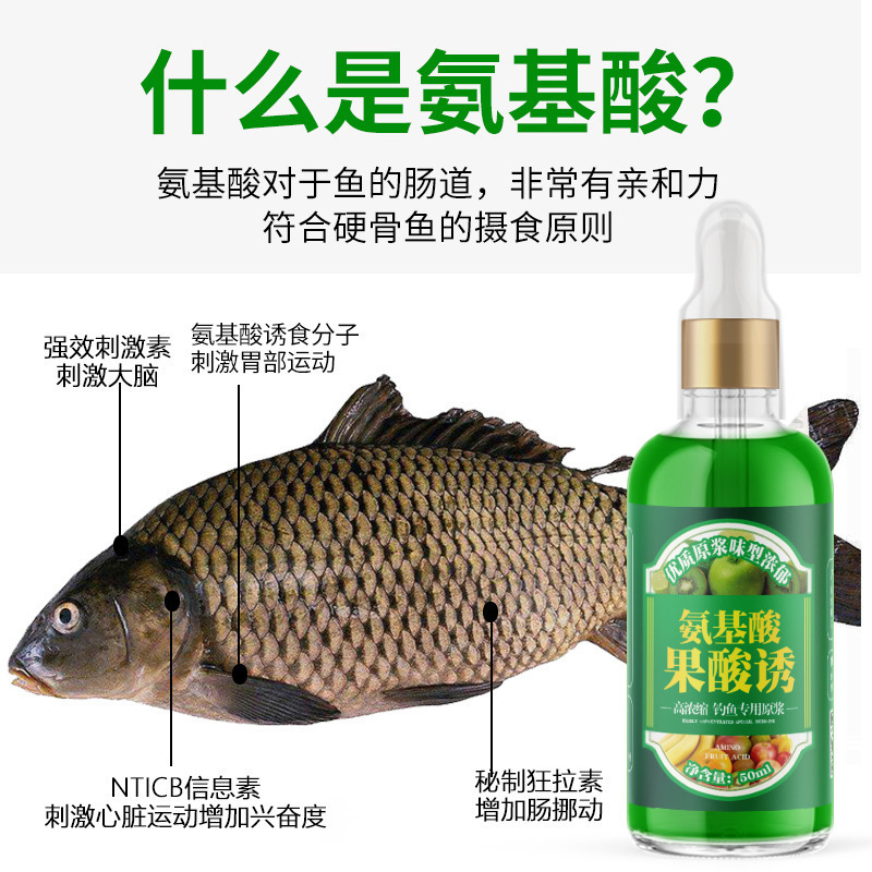アミノフルーツ酸釣り薬、魚誘引剤、野釣り黒坑、フナ、草鯉、鯉、鯰、鯛、特別な薬、発送可能|undefined