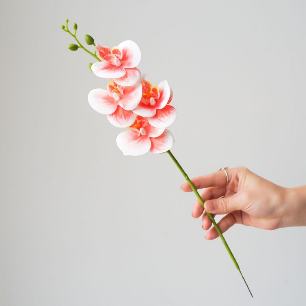 흰색 빨간색 코어