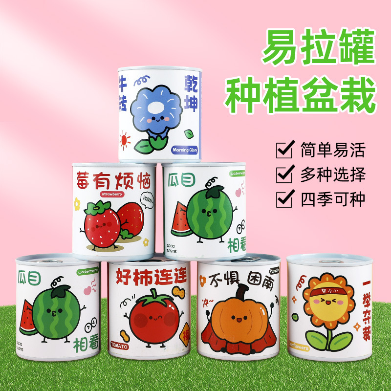 DIY Cans Can Be Used to Plant Indoor Small Potted Mini Green Plants, Which Are Easy to Raise Students and Convenient to Observe Plant Growth