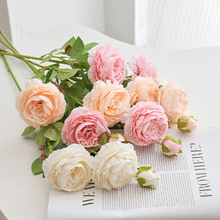 �L֦��Ʒ��ĵ�����滨������Y�������廨�b����� �����羳����