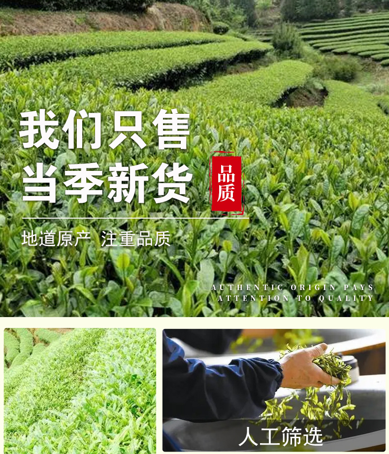 High Mountain Oolong Tea (Anxi Tie Guan Yin) — Loose Leaf Spring Tea, 500g specifications
