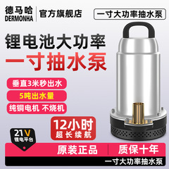 家用潜水泵充电式高扬程抽水泵大功率水井浇菜神器农用灌溉清水泵