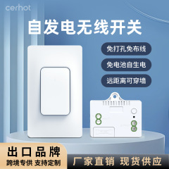 配線不要、電池不要、防水、自動電力スイッチ、ロッカータイプ家庭用ワイヤレスカジュアルリモコンスイッチ