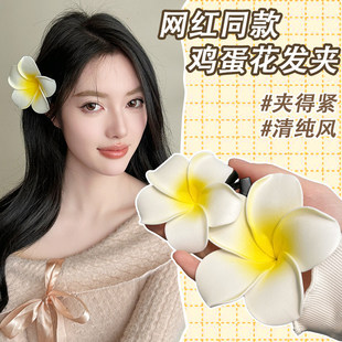 �u������߅�l�A2026�¿�߼��л���l����߅�ȼ��L��߅�A�Ӱl�Ů