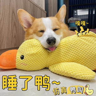 ������˯����߽␞����С�S�����ﻥ��ë�q��ż�����˛_�h��