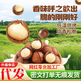 代发夏威夷果奶油味胡桃果薄皮大果袋装批发送开口器奶香夏威夷果