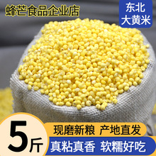 ���������S��5�ﮔ������ճŴ�S���ճ��ŴС��������ճ��ճ����