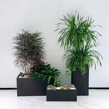 ���]���P䓻�������̨�����L���ηNֲ�仨�۾Gֲ�����Fˇ�ۘ�̎