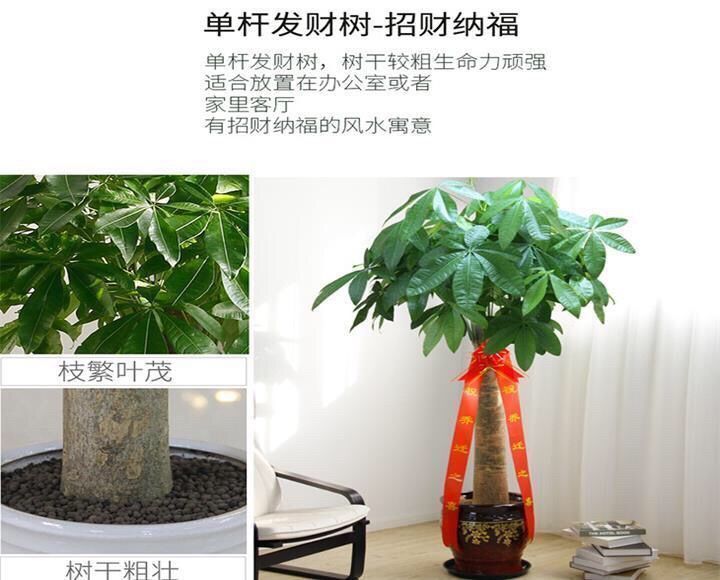 2c1cf1d7-202b-496e-bcab-e2fc8d4afe0d.jpe