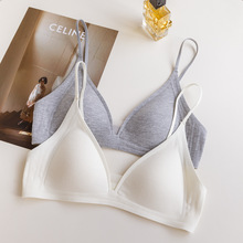 ���玧��ʽ���Ǳ�2025�¿��С�ؾ۔n�o�Ȧ���m�����ݼy����Ů