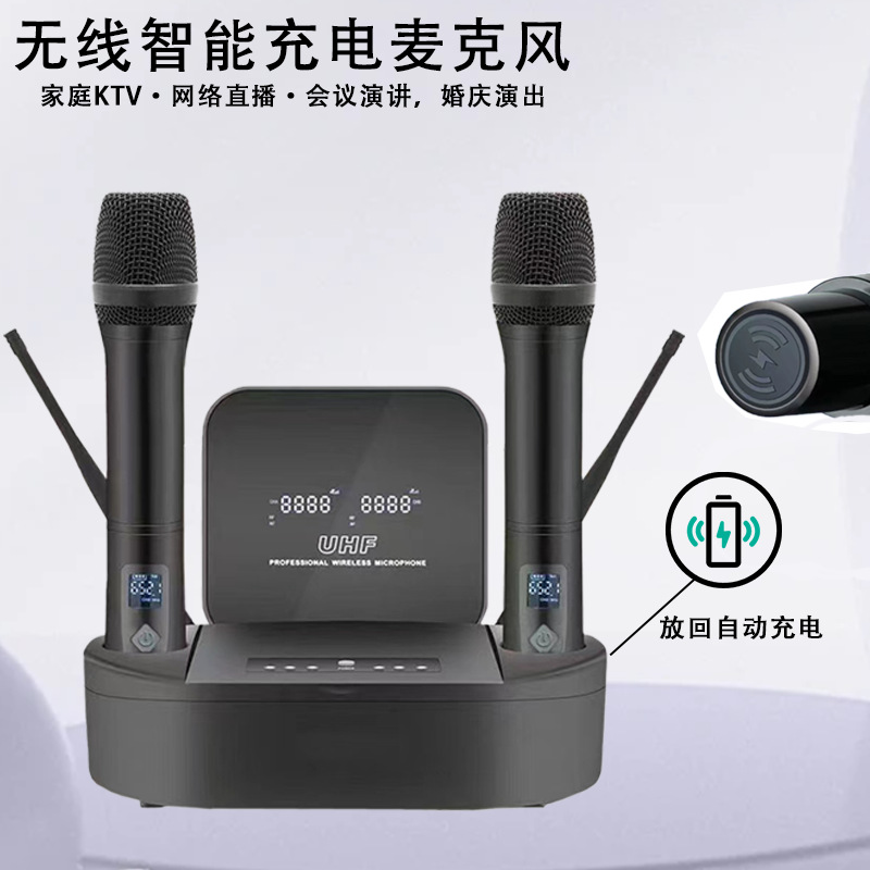 Wireless One-To-Two Charging All-In-One Machine True U-Segment Fm Home Ktv Wedding School Speech Microphone Sound Card