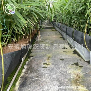 鲜切花玫瑰无土栽培槽 PP槽 种植槽基质栽培槽 替代种植袋