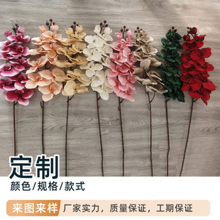 �����m���滨11�^�q�����컨���ƼҾ�ܛ�b�[�O�b�Ʒ�ٻ����S