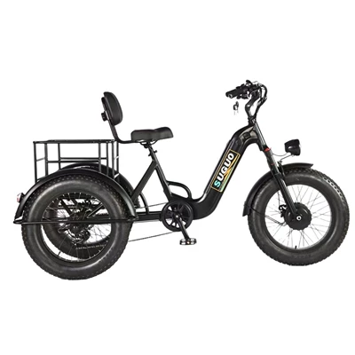 Snow Electric Tricycle: Youmiou Auto Parts and Accessories