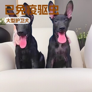 ���N����ī�����Ȯ���w�����̼���ɫ�����o�lȮ�pѪ�y����Ȯ��Ȯ