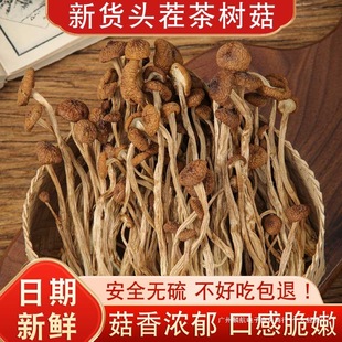 ��؛��乽��؛�㹽��؛��н�������خa���r�Ҿ���Ģ���ҟ���500g