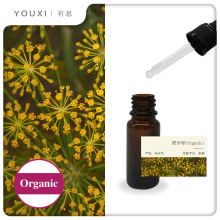 ��Ϣ�P�}�цη����� �������M��Dill Seed�P�}�Ѿ���