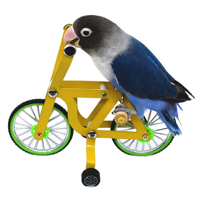 Игрушки-попугаи Велосипедные тренировочные принадлежности для птиц Реквизит Пион Xuanfeng Велосипедные тренировочные Разведывательные игрушки для птиц Трансграничные