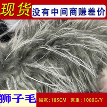 �����F؛���� �pɫ�{�ӽq ��ȸ�q�����q�� ���b����������