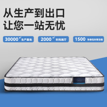 �羳���Ɖ��s�������|�Ƶ�ϯ��˼ӛ���ު�������20cm��Ҿ�