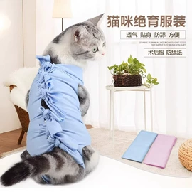 猫猫玩具;猫猫食具;狗狗食具