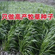 �����ݷN���ļ����Ѷ������ͺ����ݷN�������Bֳ�u��ţ���~�ݷN��