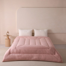 �¿ɫ������ů�ڿƼ�ʯīϩ�a�ر�SOFT����W�p���ӱ�о�ɶ���