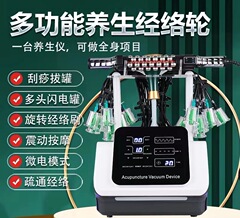 三通の大家の黒科学技術の理学療法マッサージの経絡の養生の器具の美容院の発熱
