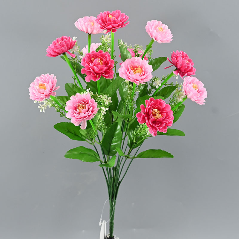 다크핑크·+라이트핑크