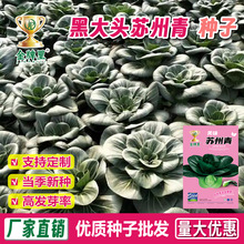 ���l�ڴ��^�K����ڴ��^������˷N�Ӵ��~���~�������_�Ϻ������