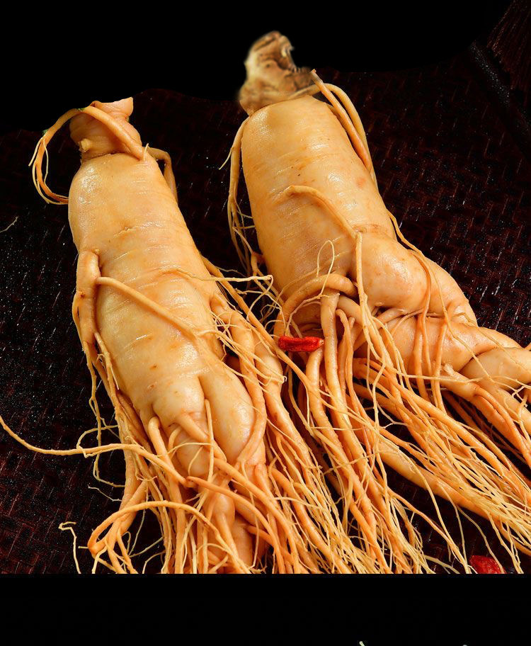 Fresh Changbai Mountain Ginseng Ren Shen Whole Root for Wine Infusion and Soup Making Gift Box preparation