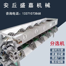 其他食品加工;果蔬加工设备;休闲食品加工