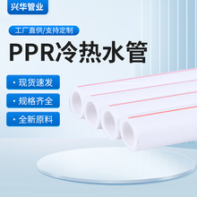 ����20���ϳ�ȫ����PPR����ˮ��  ��װ����ppr��ˮ������ˮ������