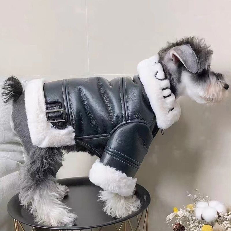 Dog winter clothing, thickened trendy fur-lined biker jacket for small dogs like Teddy, Pomeranian, Schnauzer, and cats Dog winter clothing, thickened trendy fur-lined biker jacket for small dogs like Teddy, Pomeranian, Schnauzer, and cats