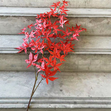 仿真枫叶五角枫鸡爪槭树叶田园优质假叶子大树秋冬季单只/束园林