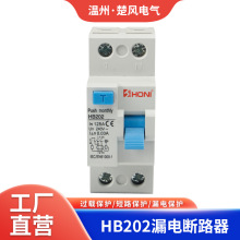 HONI厂家批发微型漏电断路器2P4P125A电磁式HB202RCCB保护防漏电