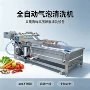 喷淋气泡定制大型洗菜机