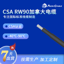 CSA��UL�p�J�C���܌�����|RW90  ��ȼFT4����Դ�����|