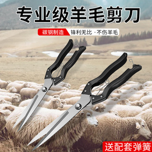 ��ë�����ք�ţë�R�׌���������ë������ë��ë������ë��