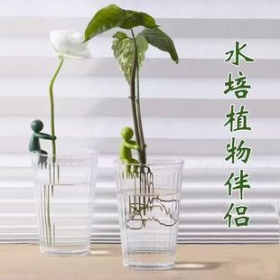Ready-Made Cross-Border New Products, Cute Plant Support Frames, Plant Support Hydroponic Plants for Plant Cultivation