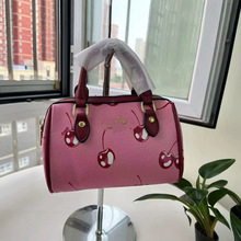 C�Ұ������Q���N2025�ܼ��¿����ӡ����ʿ�D��������^���μ��