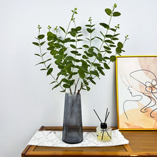 3���ȼ����zƬ���X�~����Gֲ�쾰�Ҿӿ͏d�bƵ��c�廨����