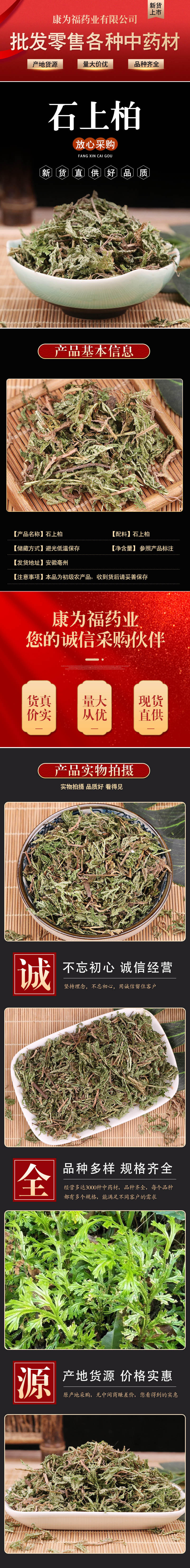 Shi Shang Bai (Selaginella doederleinii) — Sulfur-Free Deep Green Dried Herb, 500g overview
