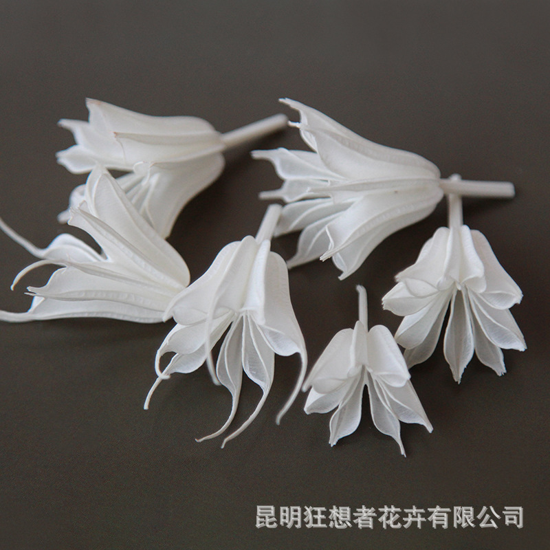 Đầu hoa hình bát giác màu trắng (một gói 10g)