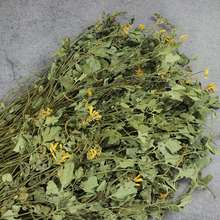 岩黄莲 500克包邮 新货岩黄连 岩胡 岩连 菊花黄连 中药材