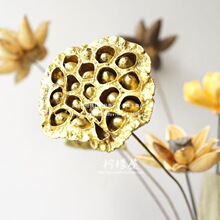 ��ɫ��ɏ��Ѹɻ����Pβ�����빩�𻨼ٺ��~�U���b��ֹ�