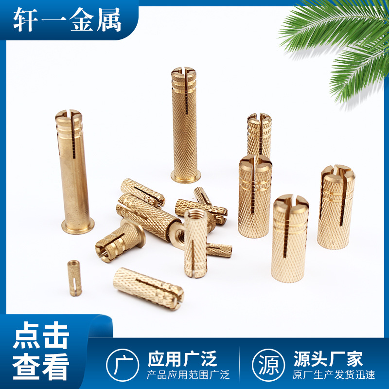 铜内迫膨胀管批发 铜壁虎 顶爆铜内置式膨胀螺栓 内爆内膨胀螺丝