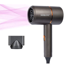 Ҏ110VôLC늴L Professional Hair Dryer
