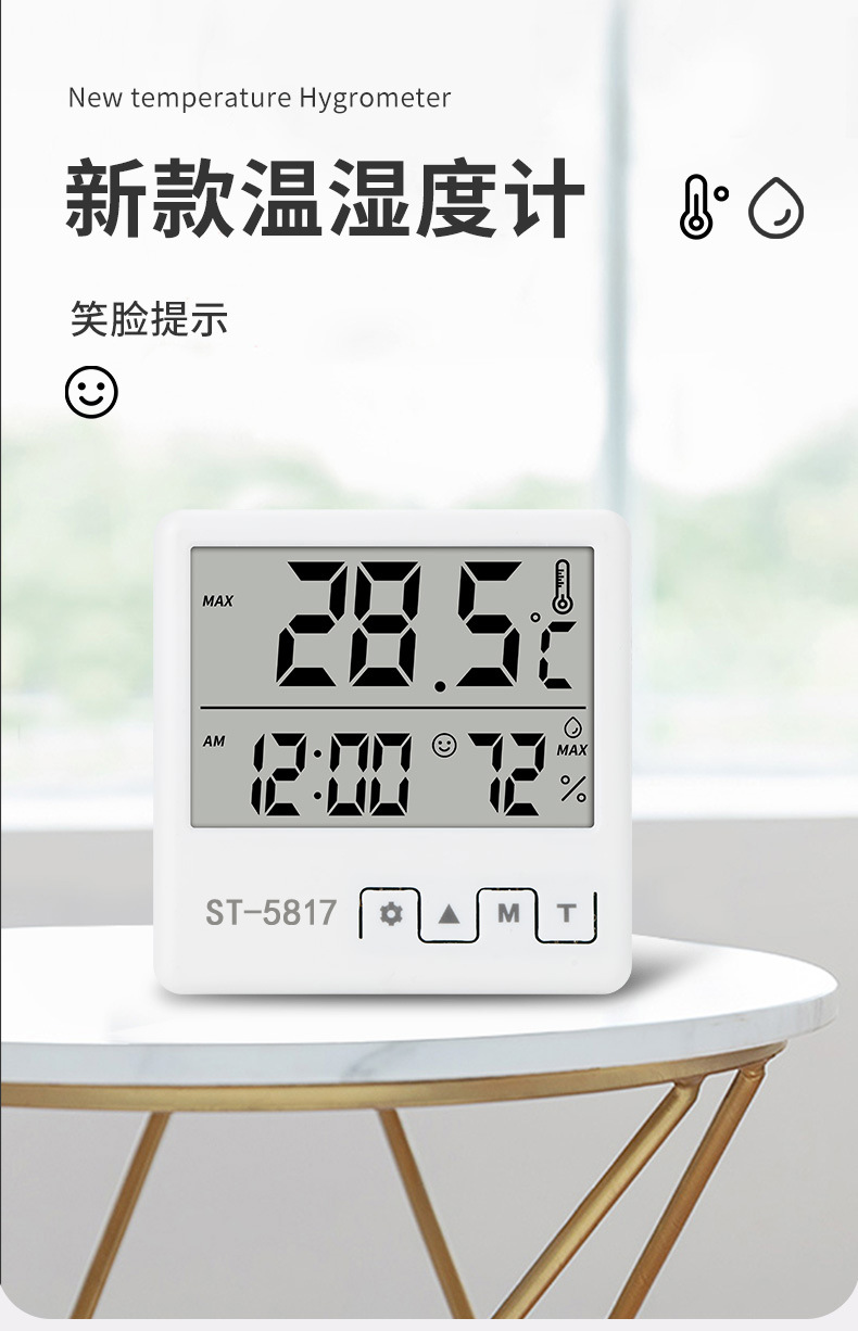 5817带型号温湿度计_01 (1)